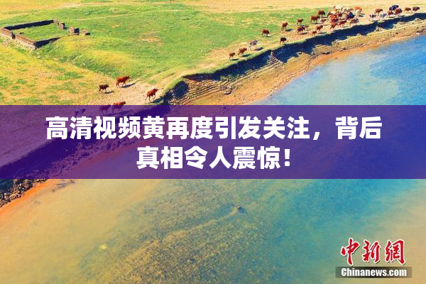 高清视频黄再度引发关注，背后真相令人震惊！