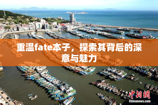 重温fate本子，探索其背后的深意与魅力