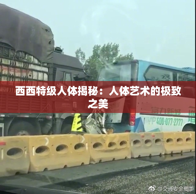 西西特级人体揭秘：人体艺术的极致之美
