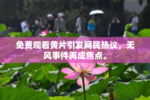 免费观看黄片引发网民热议，无风事件再成焦点。