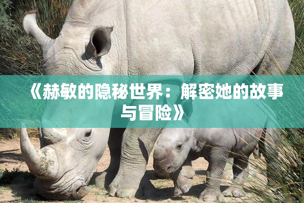 《赫敏的隐秘世界：解密她的故事与冒险》