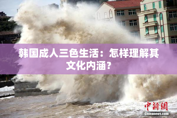 韩国成人三色生活：怎样理解其文化内涵？