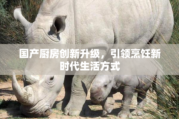国产厨房创新升级，引领烹饪新时代生活方式