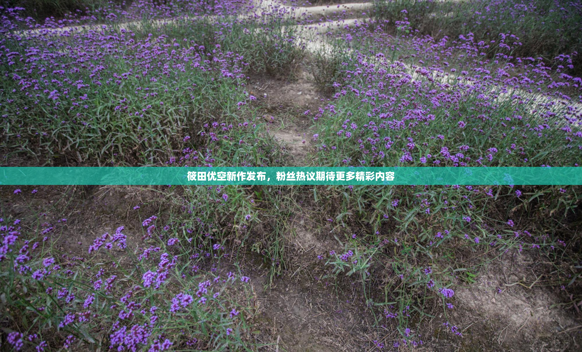 筱田优空新作发布，粉丝热议期待更多精彩内容