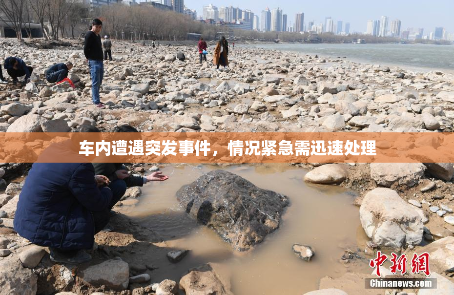 车内遭遇突发事件，情况紧急需迅速处理