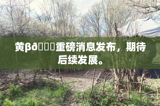 黄β🔞重磅消息发布，期待后续发展。