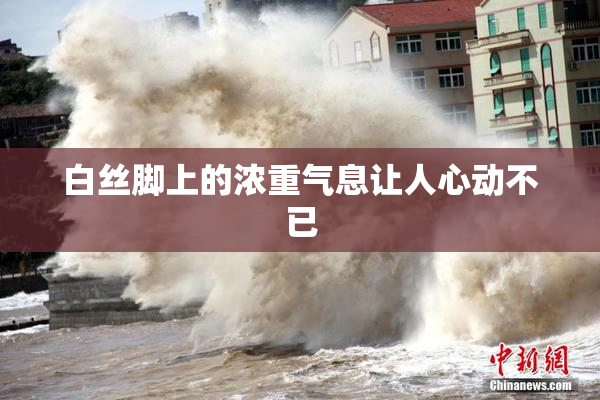 白丝脚上的浓重气息让人心动不已
