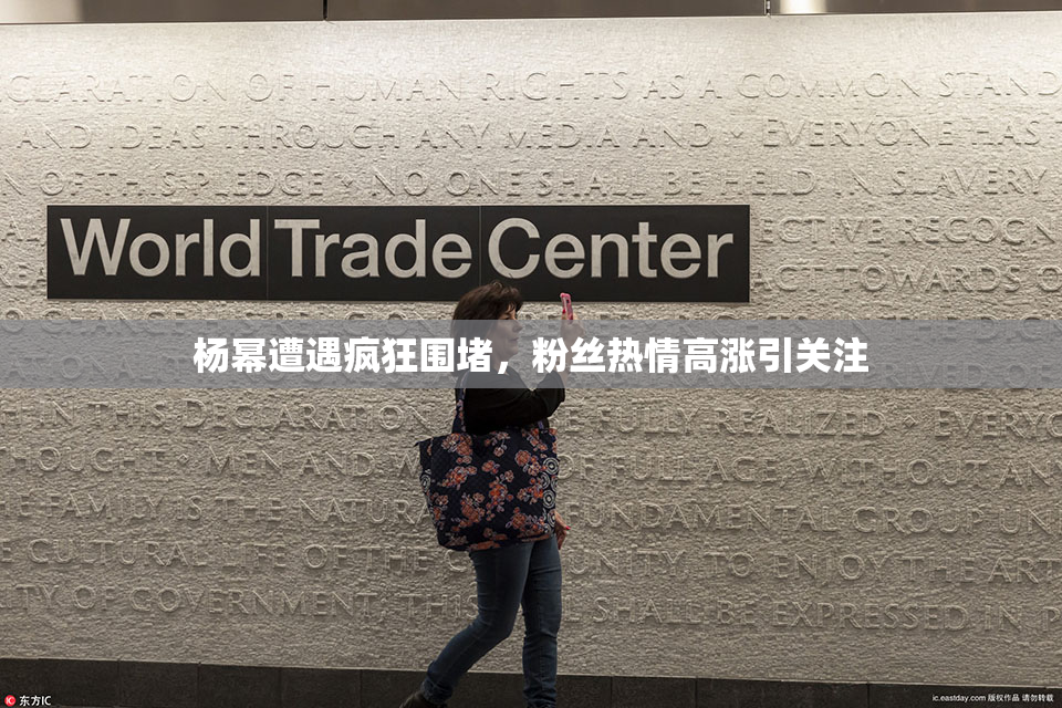 杨幂遭遇疯狂围堵，粉丝热情高涨引关注