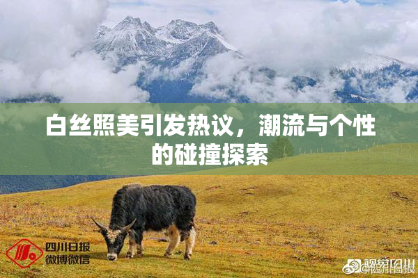 白丝照美引发热议，潮流与个性的碰撞探索