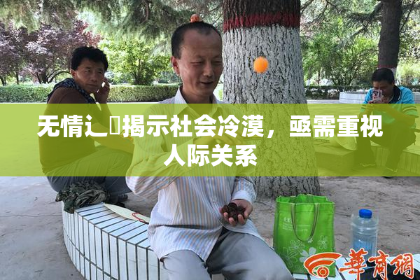 无情辶喿揭示社会冷漠，亟需重视人际关系