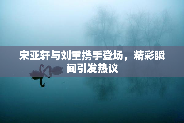 宋亚轩与刘重携手登场，精彩瞬间引发热议