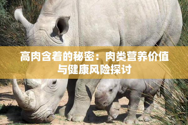 高肉含着的秘密：肉类营养价值与健康风险探讨