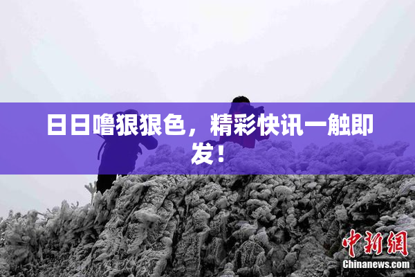 日日噜狠狠色，精彩快讯一触即发！