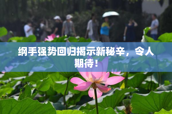 纲手强势回归揭示新秘辛，令人期待！