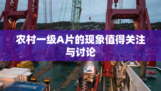 农村一级A片的现象值得关注与讨论