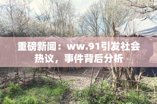 重磅新闻：ww.91引发社会热议，事件背后分析