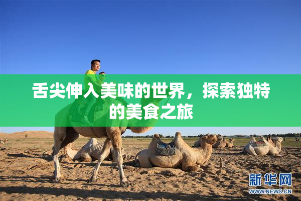 舌尖伸入美味的世界，探索独特的美食之旅