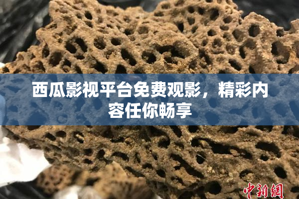 西瓜影视平台免费观影，精彩内容任你畅享
