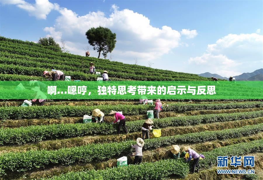 啊…嗯哼，独特思考带来的启示与反思