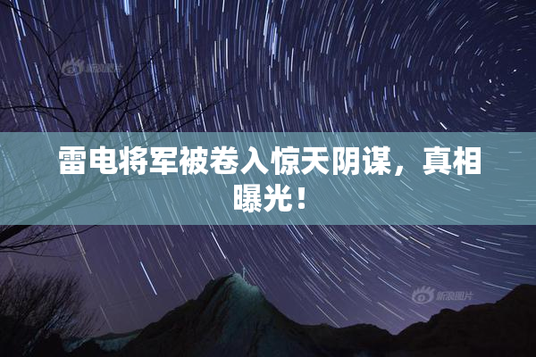 雷电将军被卷入惊天阴谋，真相曝光！