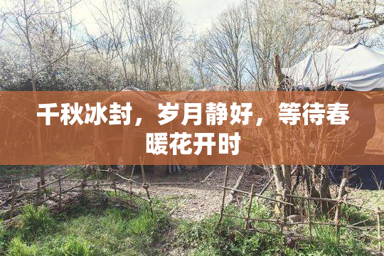 千秋冰封，岁月静好，等待春暖花开时