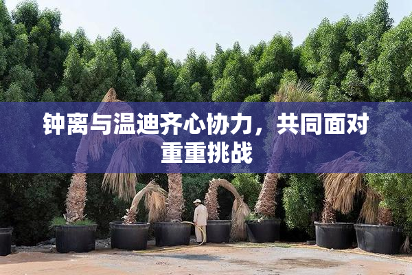 钟离与温迪齐心协力，共同面对重重挑战