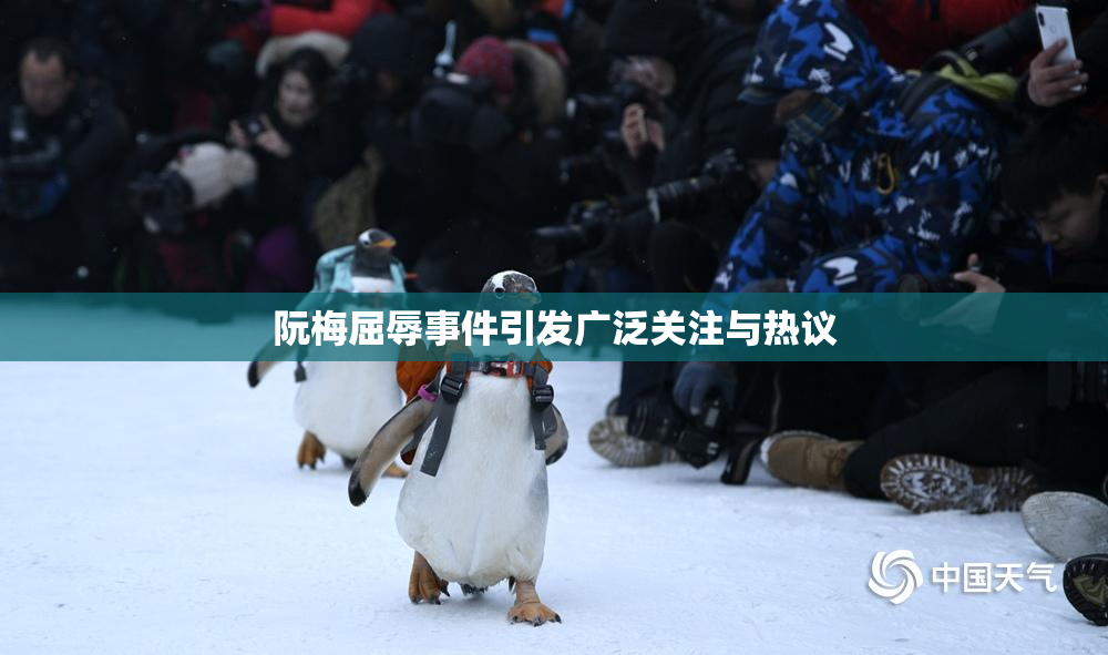 阮梅屈辱事件引发广泛关注与热议