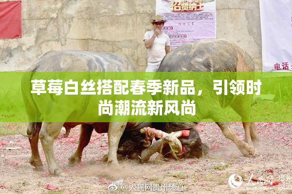 草莓白丝搭配春季新品，引领时尚潮流新风尚