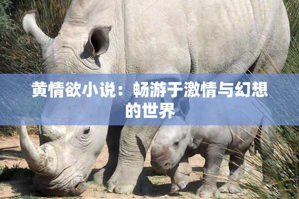 黄情欲小说：畅游于激情与幻想的世界