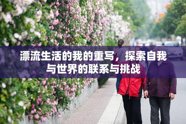 漂流生活的我的重写，探索自我与世界的联系与挑战