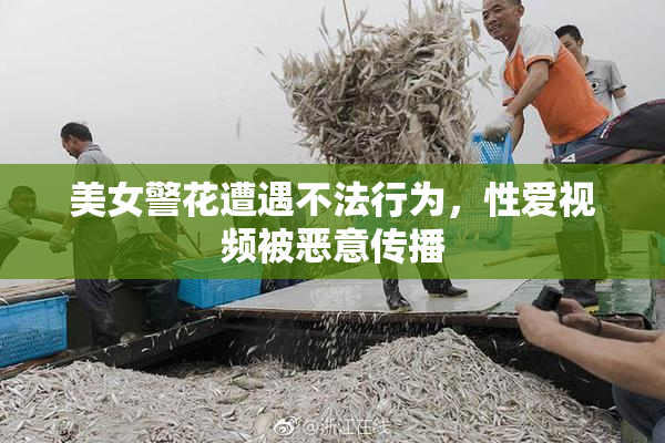 美女警花遭遇不法行为，性爱视频被恶意传播