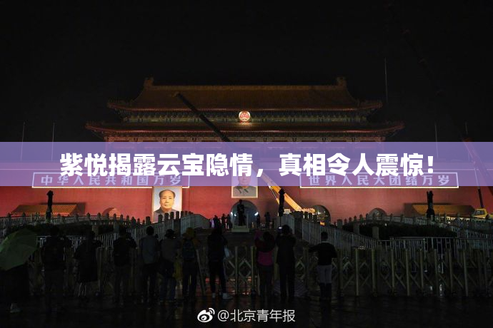紫悦揭露云宝隐情，真相令人震惊！