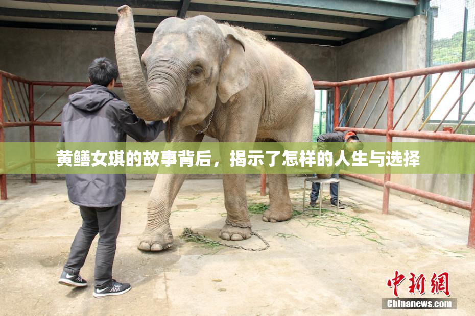 黄鳝女琪的故事背后，揭示了怎样的人生与选择