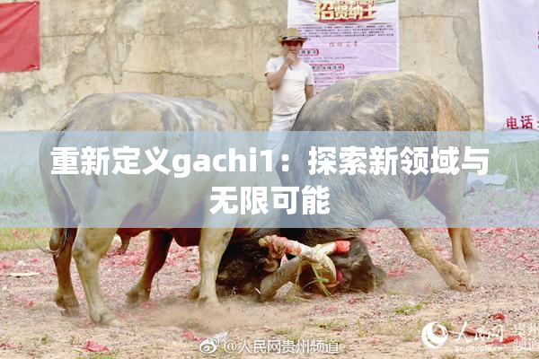 重新定义gachi1：探索新领域与无限可能