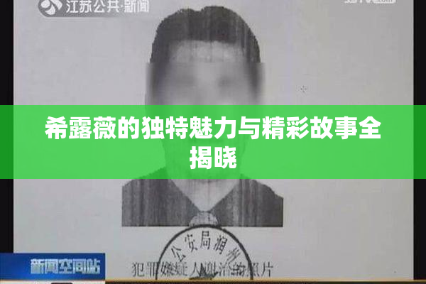 希露薇的独特魅力与精彩故事全揭晓