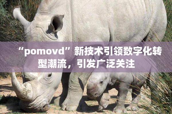 “pomovd”新技术引领数字化转型潮流，引发广泛关注
