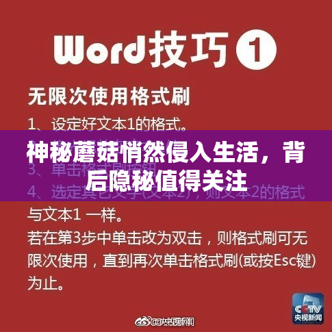 神秘蘑菇悄然侵入生活，背后隐秘值得关注