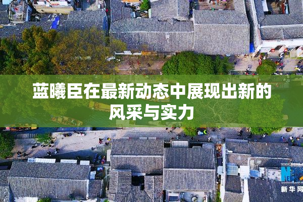 蓝曦臣在最新动态中展现出新的风采与实力
