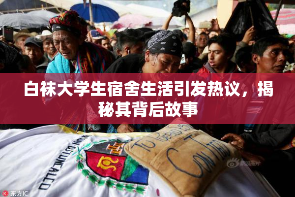 白袜大学生宿舍生活引发热议，揭秘其背后故事