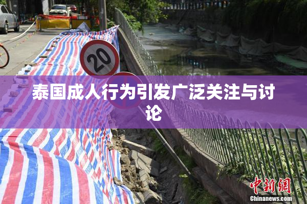 泰国成人行为引发广泛关注与讨论