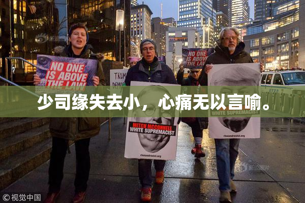 少司缘失去小，心痛无以言喻。