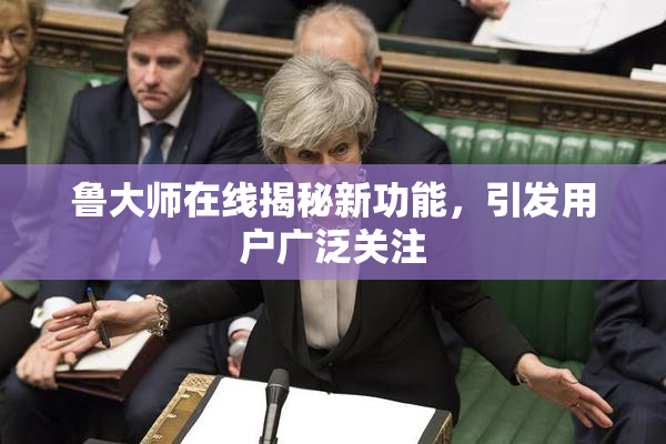 鲁大师在线揭秘新功能，引发用户广泛关注