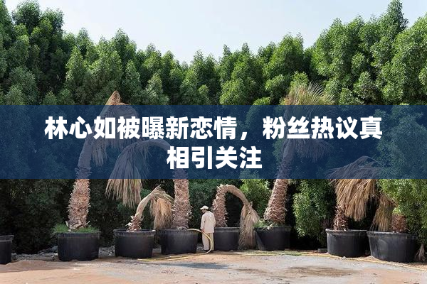 林心如被曝新恋情，粉丝热议真相引关注