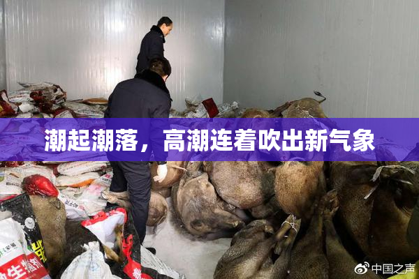 潮起潮落，高潮连着吹出新气象