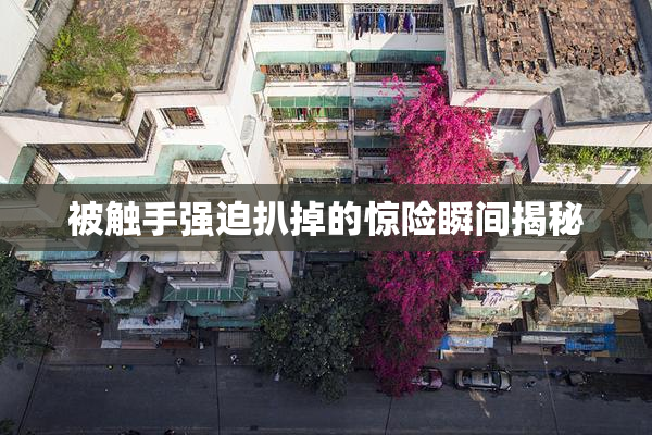 被触手强迫扒掉的惊险瞬间揭秘