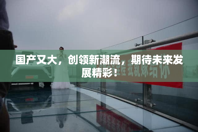 国产又大，创领新潮流，期待未来发展精彩！