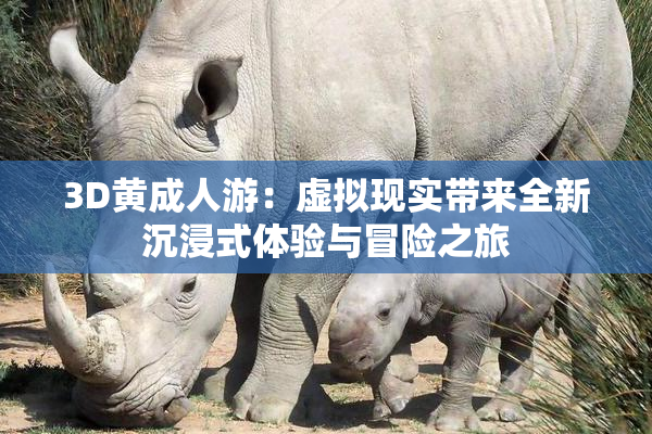 3D黄成人游：虚拟现实带来全新沉浸式体验与冒险之旅