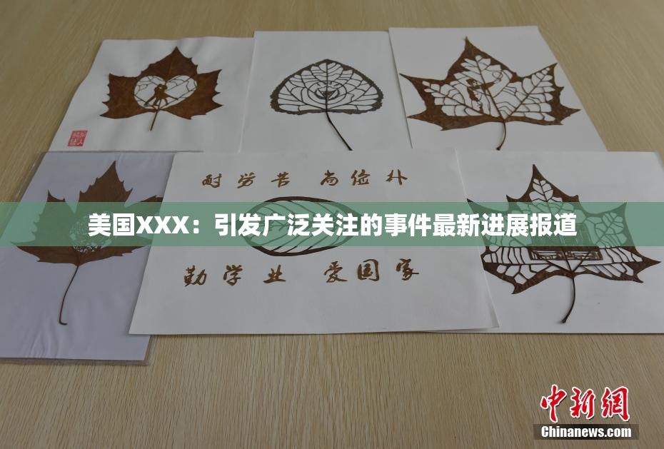 美国XXX：引发广泛关注的事件最新进展报道
