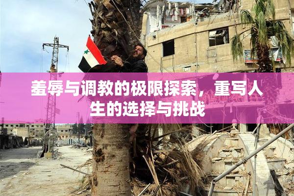 羞辱与调教的极限探索，重写人生的选择与挑战