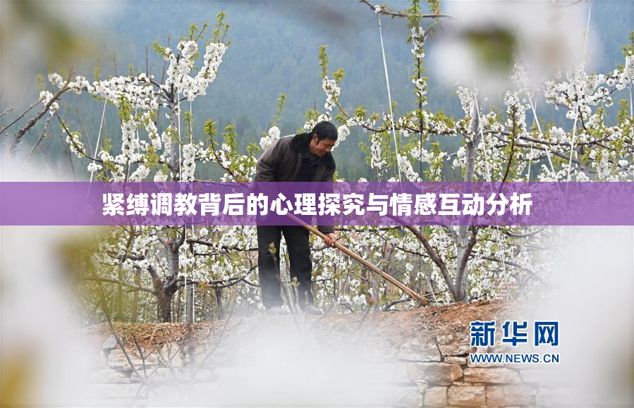 紧缚调教背后的心理探究与情感互动分析